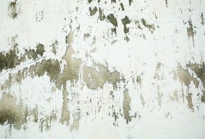 failed paint-Optimized