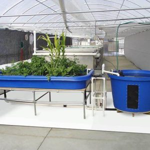 GrowFloor in Use