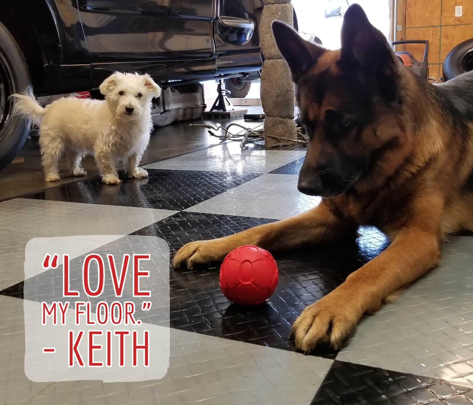 Keith’s Cute Dogs … And A Nice RaceDeck Floor Too