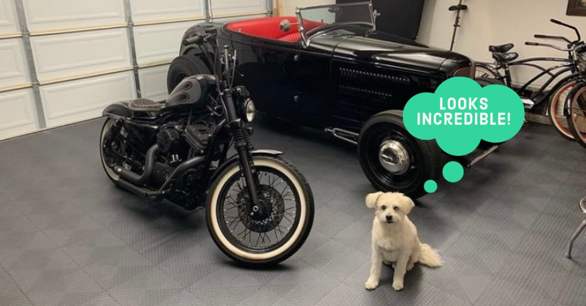 Small Coin Garage with Dog and Cars